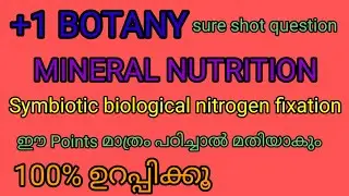 plus one botany/ Mineral Nutrition / chap 12/ Symbiotic biological nitrogen fixation/ BIOFOCUZ