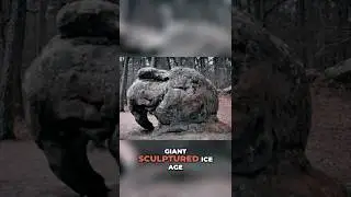 Ancient Carvings Reveal EXTINCT Beasts!