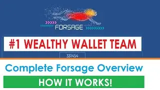 Complete Forsage Overview   How it Works!