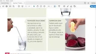 Reconocimiento de reacciones qu&Igrave;micas y clasificaci&ograve;n exergonico y endergonico