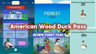 Review American Wood Duck Pass in &ldquo;Forest island&rdquo; 🏝️! | new event pass! | 2 new animals 🦆🦆