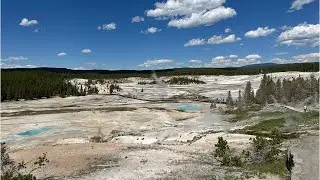 Norris Geyser Area -  Porcelain Basin