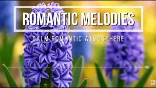 🎻 Romantic Dreams – Vol. 040 |🌹 Garden of Love | Soft Melodies for Two
