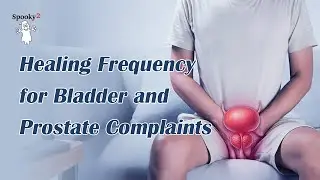 Healing Frequency for Bladder & Prostate Support | Ease Tension, Support Urinary Comfort