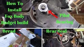 How To Install A Pilot Bearing With Bread And Replace Rear Main Seal Fox Body Budget Build.