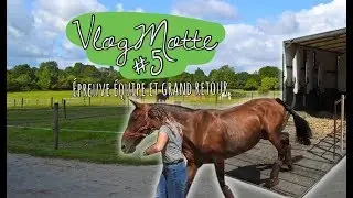 VlogMotte n°5 - CSO par Equipe & Retour à l'écurie !