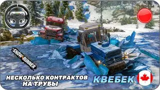 Прямой эфир Таскаем трубы до утра [ SnowRunner ] MOZA R3