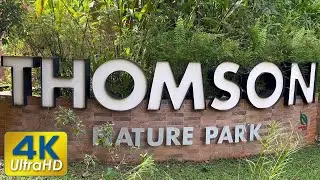 Thomson Nature Park 🌳 Explore the 1930s Hainan Village Ruins & Forest Trails | SingaporeIsland