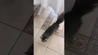 Леонард волнуется 😊 а дадут ли поесть ?