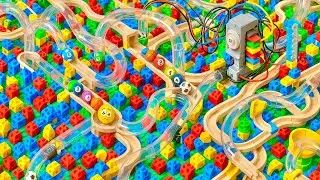 Marble Run Race ASMR Rollercoaster ADHD Calm Found in Pure Visual Madness