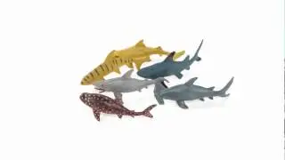 Shark Toy Figurines 360 View | Wild Republic