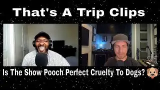 That's A Trip Clips - Is The Show Pooch Perfect Cruelty To Dogs?