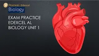 EDEXCEL BIOLOGY UNIT 1 PAPER DISCUSSION HEART