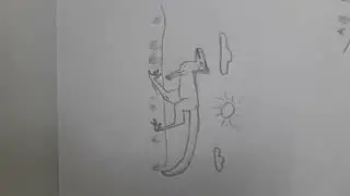 ١١ نوفمبر ٢٠٢٥