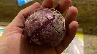Do NOT Order From Hello Fresh!