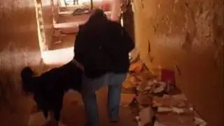 Dogacademy