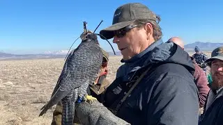 Jerfalcon | Utah Sky Trials 22&rsquo; | Falcon derby