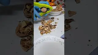 WALNUT CRUNCH ##satisfying #asmr #trending #shortsfeed #walnut