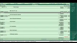 How to Add Grid Lines in default reports in Tally ERP9 Free TDL