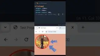 How To Add Colourful Border Using CSS.#css #lineargradients❤️ #code #webdevelopment