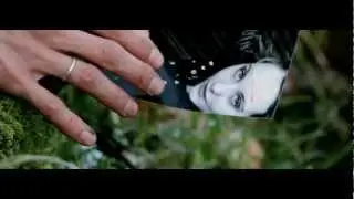 Herr von Grau - Schei&szlig;egal