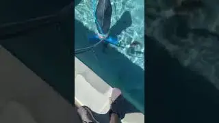 Quick pool cleaning. How do I make music last longer than 15 secs ???