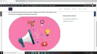 video webmastering