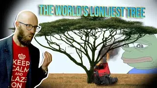 Surviving the Sahara Desert with the World's Loneliest Tree
