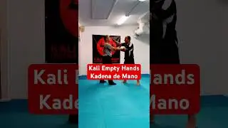 Kali Martial Art Empty Hands Close-range Kadena de Mano #martialart #kaliemptyhands #shorts