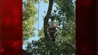 Storm Damage Recovery