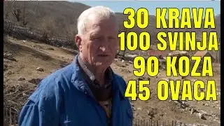 KOMBINOVANO STOCARSTVO - 30 KRAVA 90 KOZA 100 SVINJA 45 OVACA