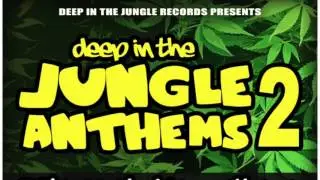 Hungry T - Space Chase ( Deep In The Jungle )