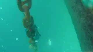 pesca submarina en manzanillo col. M&eacute;xico (pargo listoncillo)