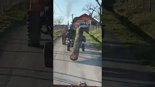 opasno prevoz drva sa traktorom ili NE #tractor #imt #zetor #shortvideo