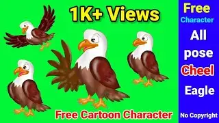 Cheel #Character Green screen || Eagle/Cheel All pose || Talking || Flying || Silent||copyright Free