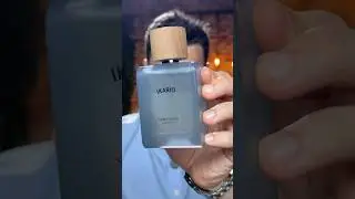 O PERFUME MAIS ELOGIADO DA STELLA DUSTIN! CHEIRO SURREAL QUE MISTURA ERBA PURA E THE MOST WANTED!