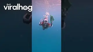 Santa Goes Diving || ViralHog