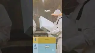 Scientific bee box // Important information of scientific box //