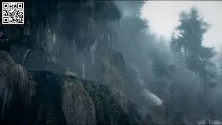 Trailer Wild Carpathia
