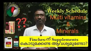 Important Supplement Medicine For Finches In Malayalam || Treatment & Medicine For Finches