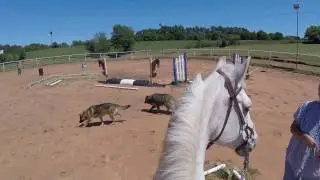 Part 5 The Obstacle Course