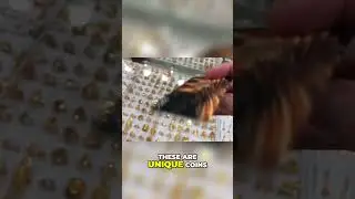 Massive Gold Coin Haul from Dubai! Spot Was $1,228!