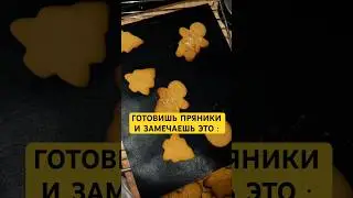 Жиза всех у кого есть животные🫠 шампунь wb: #500356639 #имбирныепряники #лп #лайфхак #лабрадор