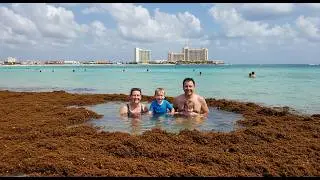 Hoteles sin Sargazo en Canc&uacute;n
