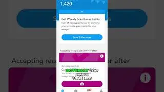 Is Receipt Pal the BEST Receipt Scanning App?