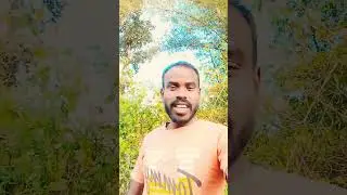 Mera Dil bhi Kitna pagal Hai #bollywood #song #love #hindisong #trending #popularsong #shortvideo