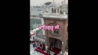 Golden Temple ✨ | ਸ੍ਰੀ ਹਰਿਮੰਦਰ ਸਾਹਿਬ ਦੀ ਅਲੌਕਿਕ ਸੁੰਦਰਤਾ | Waheguru Simran