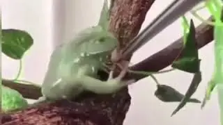 RESPECT FOR NATURE