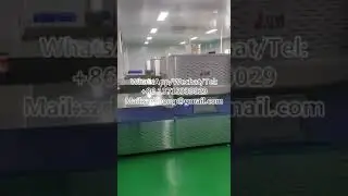 Microwave heating sterilization tunnel furnace