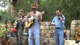 the pines- Knotty Pines Band